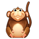 monkey80